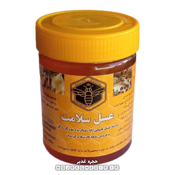 عسل طبیعی تغذیه‌ای سلامت ۵۰۰ گرمی