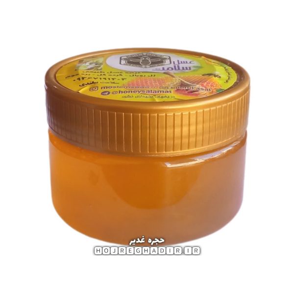 عسل طبیعی خارشتری سلامت ۲۵۰ گرمی