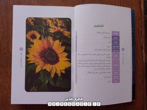 کتاب ملکوت گیاهان نوشته آقای محسن اسماعیلی جلد سخت - Image 2